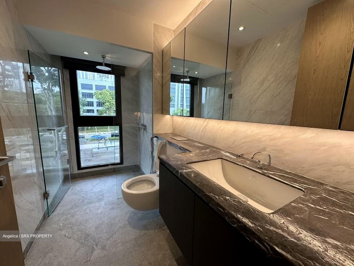 Shrewsbury Road (D11), Terrace #529954531